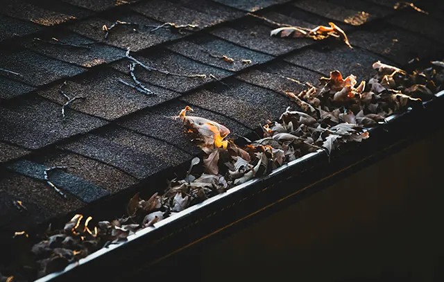 CSE-Gutter-Cleaning